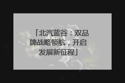 北汽蓝谷：双品牌战略领航，开启发展新征程