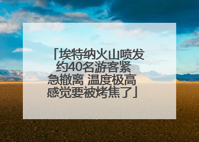 埃特纳火山喷发 约40名游客紧急撤离 温度极高感觉要被烤焦了