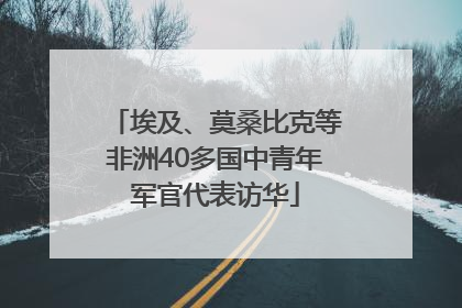 埃及、莫桑比克等非洲40多国中青年军官代表访华