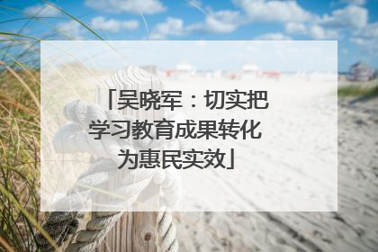 吴晓军：切实把学习教育成果转化为惠民实效