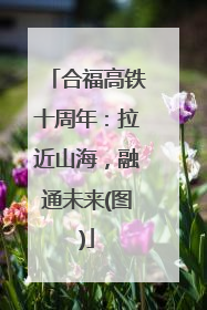 合福高铁十周年：拉近山海，融通未来(图)
