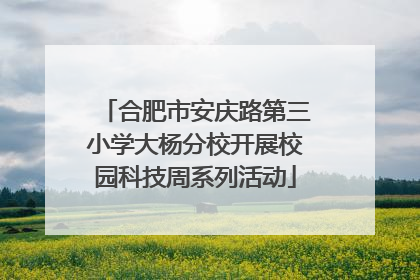 合肥市安庆路第三小学大杨分校开展校园科技周系列活动