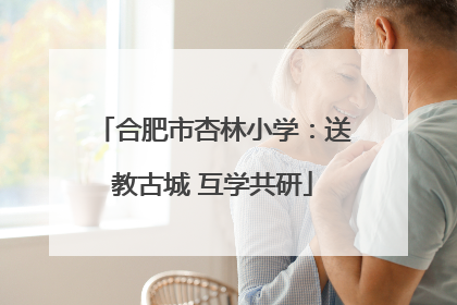 合肥市杏林小学：送教古城 互学共研
