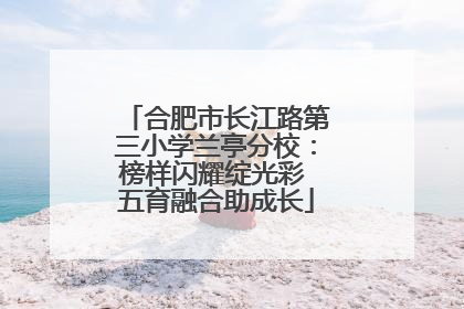 合肥市长江路第三小学兰亭分校：榜样闪耀绽光彩 五育融合助成长