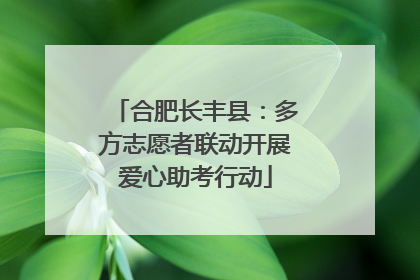 合肥长丰县：多方志愿者联动开展爱心助考行动