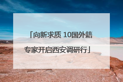 向新求质 10国外籍专家开启西安调研行