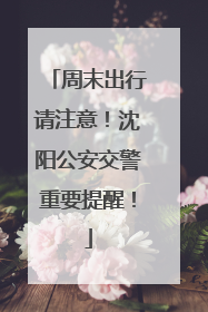 周末出行请注意！沈阳公安交警重要提醒！