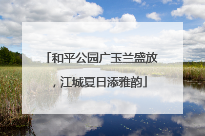 和平公园广玉兰盛放，江城夏日添雅韵