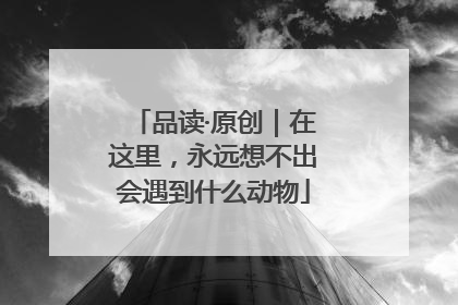 品读·原创｜在这里，永远想不出会遇到什么动物