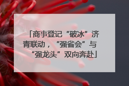 商事登记“破冰”济青联动，“强省会”与“强龙头”双向奔赴