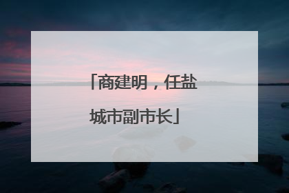 商建明，任盐城市副市长