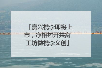 嘉兴槜李即将上市，净相村开共富工坊做槜李文创