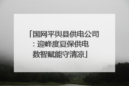 国网平舆县供电公司：迎峰度夏保供电  数智赋能守清凉