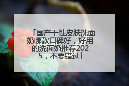 国产干性皮肤洗面奶哪款口碑好，好用的洗面奶推荐2025，不要错过