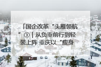 国企改革“头雁领航”③｜从负重前行到轻装上阵 重庆以“瘦身”谋“健体”
