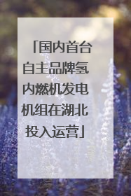 国内首台自主品牌氢内燃机发电机组在湖北投入运营
