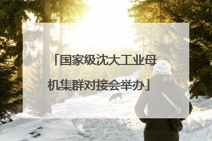 国家级沈大工业母机集群对接会举办