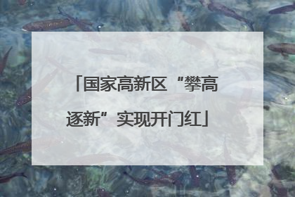 国家高新区“攀高逐新”实现开门红