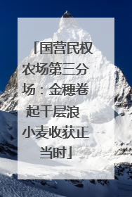 国营民权农场第三分场：金穗卷起千层浪 小麦收获正当时