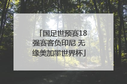 国足世预赛18强赛客负印尼 无缘美加墨世界杯