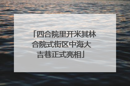 四合院里开米其林 合院式街区中海大吉巷正式亮相