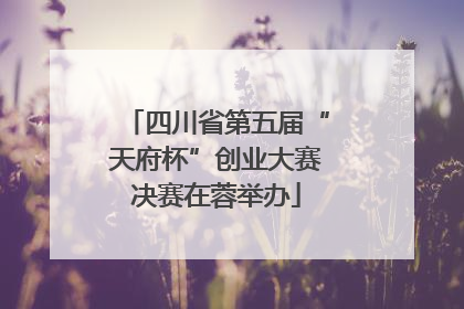 四川省第五届“天府杯”创业大赛决赛在蓉举办