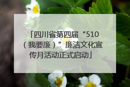 四川省第四届“510（我要廉）”廉洁文化宣传月活动正式启动
