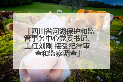 四川省河湖保护和监管事务中心党委书记、主任刘刚 接受纪律审查和监察调查