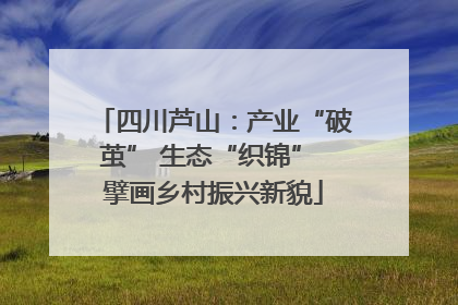 四川芦山：产业“破茧” 生态“织锦” 擘画乡村振兴新貌