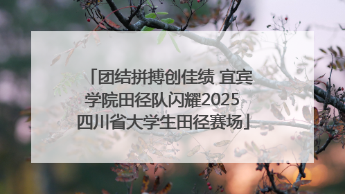 团结拼搏创佳绩 宜宾学院田径队闪耀2025四川省大学生田径赛场