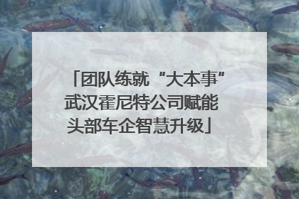 团队练就“大本事” 武汉霍尼特公司赋能头部车企智慧升级