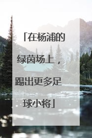 在杨浦的绿茵场上，踢出更多足球小将