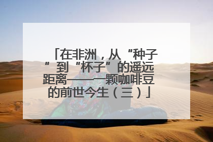 在非洲，从“种子”到“杯子”的遥远距离——一颗咖啡豆的前世今生（三）
