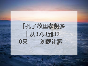 孔子故里孝贤多｜从37只到320只——刘健让泗水裘皮羊重生