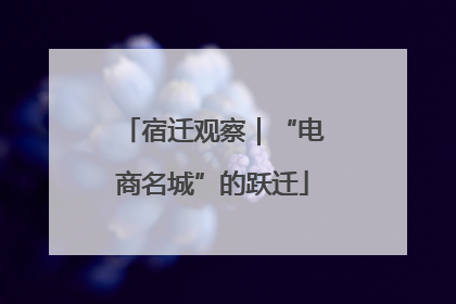 宿迁观察｜“电商名城”的跃迁