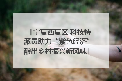 宁夏西夏区 科技特派员助力“紫色经济”酿出乡村振兴新风味