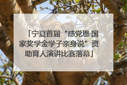宁夏首届“感党恩·国家奖学金学子亲身说”资助育人演讲比赛落幕