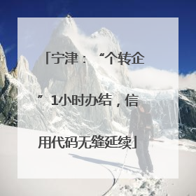 宁津：“个转企”1小时办结，信用代码无缝延续