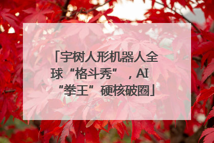宇树人形机器人全球“格斗秀”，AI“拳王”硬核破圈