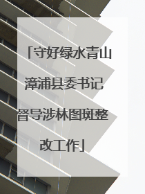 守好绿水青山 漳浦县委书记督导涉林图斑整改工作