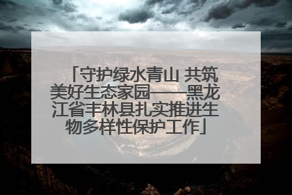 守护绿水青山 共筑美好生态家园——黑龙江省丰林县扎实推进生物多样性保护工作