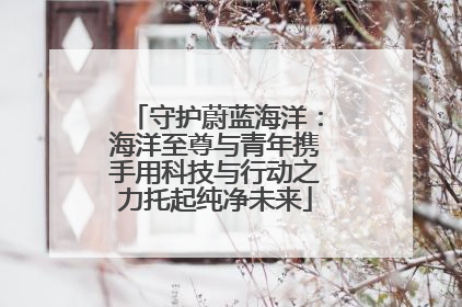 守护蔚蓝海洋：海洋至尊与青年携手用科技与行动之力托起纯净未来