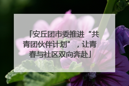 安丘团市委推进“共青团伙伴计划”，让青春与社区双向奔赴