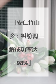 安仁竹山乡：纠纷调解成功率达98%