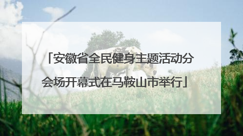 安徽省全民健身主题活动分会场开幕式在马鞍山市举行