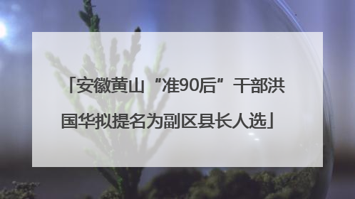 安徽黄山“准90后”干部洪国华拟提名为副区县长人选