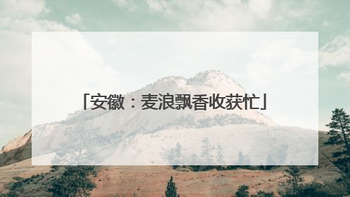 安徽：麦浪飘香收获忙
