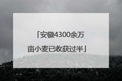 安徽4300余万亩小麦已收获过半
