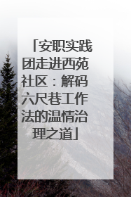 安职实践团走进西苑社区：解码六尺巷工作法的温情治理之道