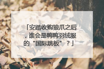安踏收购狼爪之后，谁会是鸭鸭羽绒服的“国际跳板”？